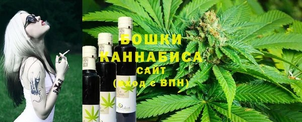 мдпв Богородск