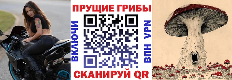 Галлюциногенные грибы мухоморы  Ачхой-Мартан 