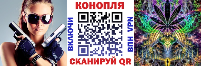 Каннабис сатива  omg вход  Ачхой-Мартан  дарнет шоп 